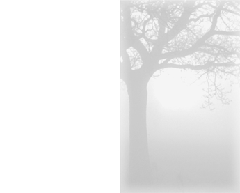 SE TA Baum im Schatten - Karte: 185 mm x 230 mm, hochweiß, Motiv - Hülle: 120 mm x 191 mm, hochweiß, mit Seidenfutter